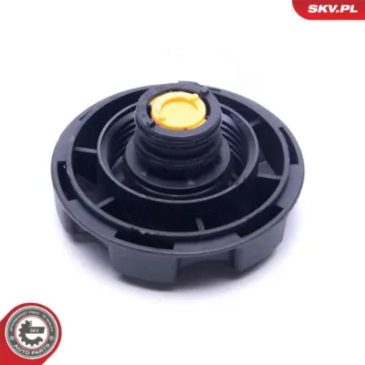 Vaschetta espansione Serbatoio Refrigerante per BMW X3 (F25 G01) 17 11 7 639 020