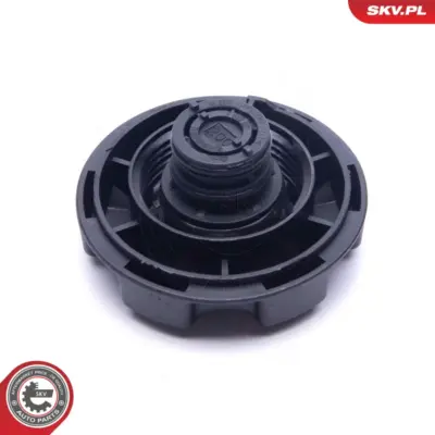 Vaschetta espansione Serbatoio Refrigerante per BMW X5 (E70) 17 11 7 639 021