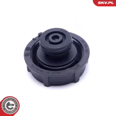 Vaschetta espansione Serbatoio Refrigerante per Ford C-max II (DXA) 1 224 233