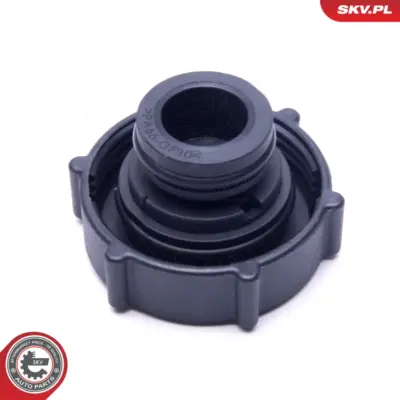 Vaschetta espansione Serbatoio Refrigerante per Ford Transit Van 1 000 249
