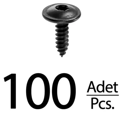 Viti Cofano Torx per Volkswagen Golf Passat Beetle Cabrio - 100 Pezzi